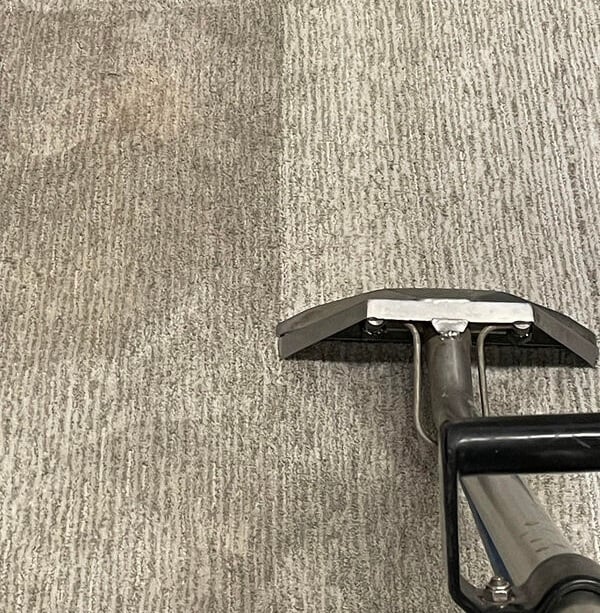 unnamed.jpg a Chem-Dry Imperial Carpet Cleaning Expert Service
