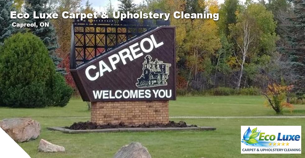 Eco Luxe Carpet & Upholstery Cleaning serving Andover MA