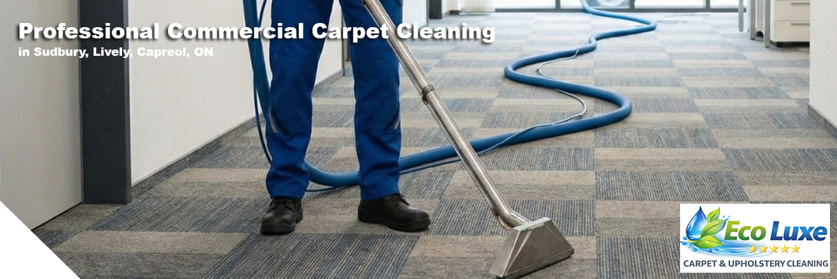 commercial carpet cleaning service in ventura