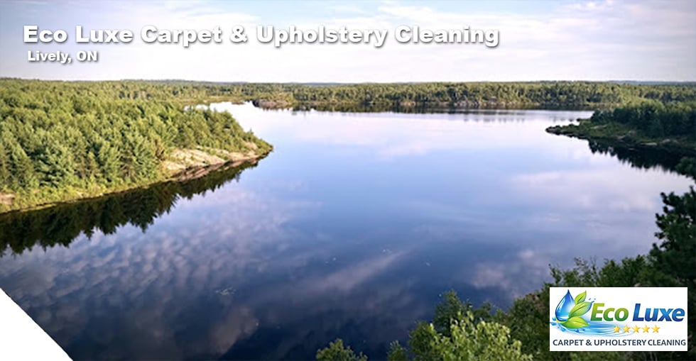 Eco Luxe Carpet & Upholstery Cleaning serving Beverly Ma