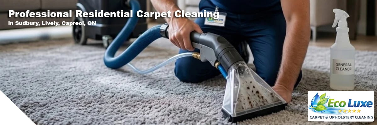 carpet cleaning service in ventura