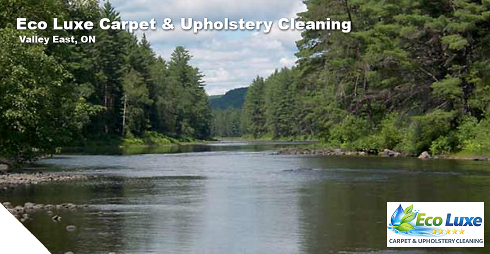 Eco Luxe Carpet & Upholstery Cleaning serving North Andover MA