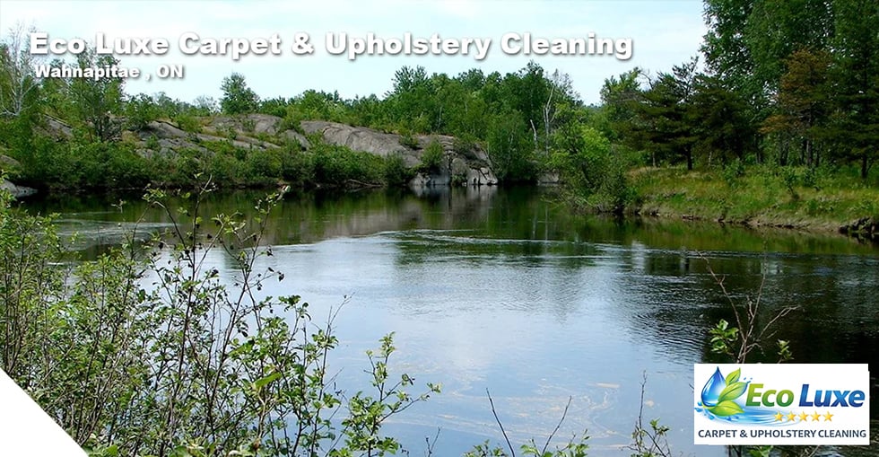 cleaning services in moonpark 